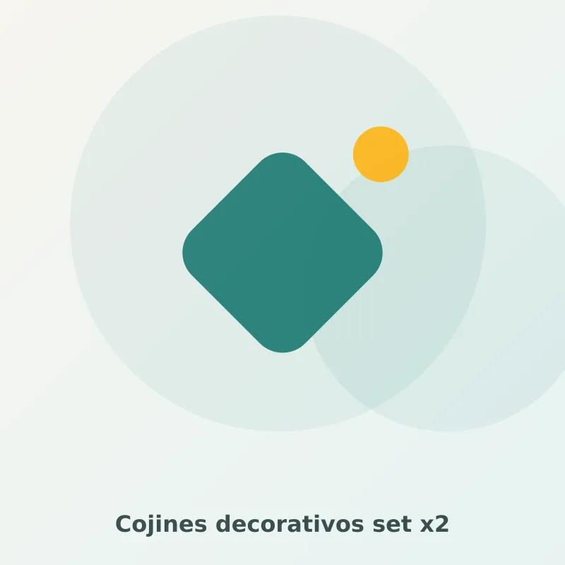 Cojines decorativos set x2